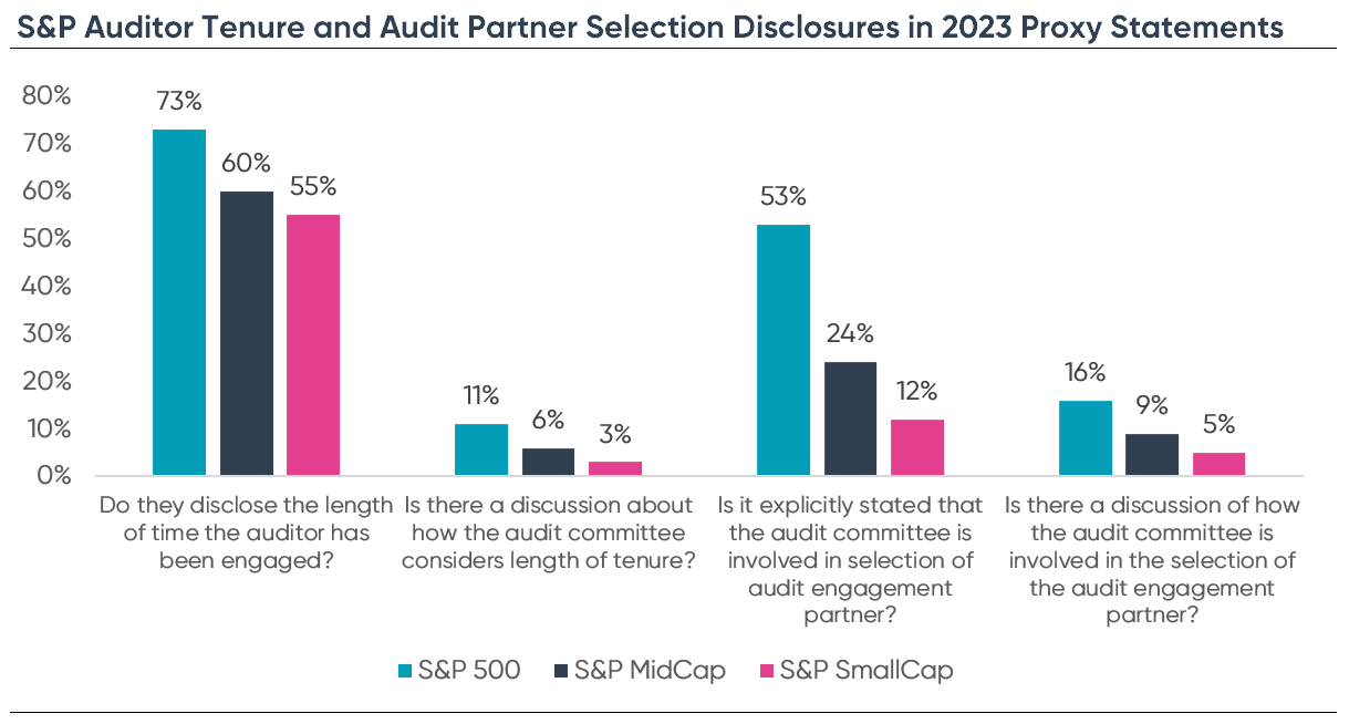 S&P auditor tenure disclosures. Ideagen Audit Analytics